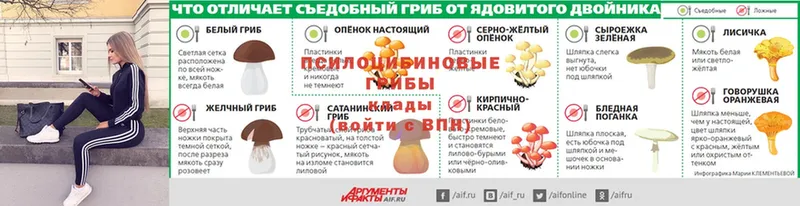 Псилоцибиновые грибы Psilocybine cubensis  купить  сайты  MEGA маркетплейс  Подпорожье 